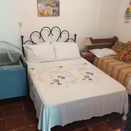 Casa No Morro - Charme Em Meio A Natureza Pertinho Da Praia 3 Dormitorios Sao Sebastiao  Esterno foto