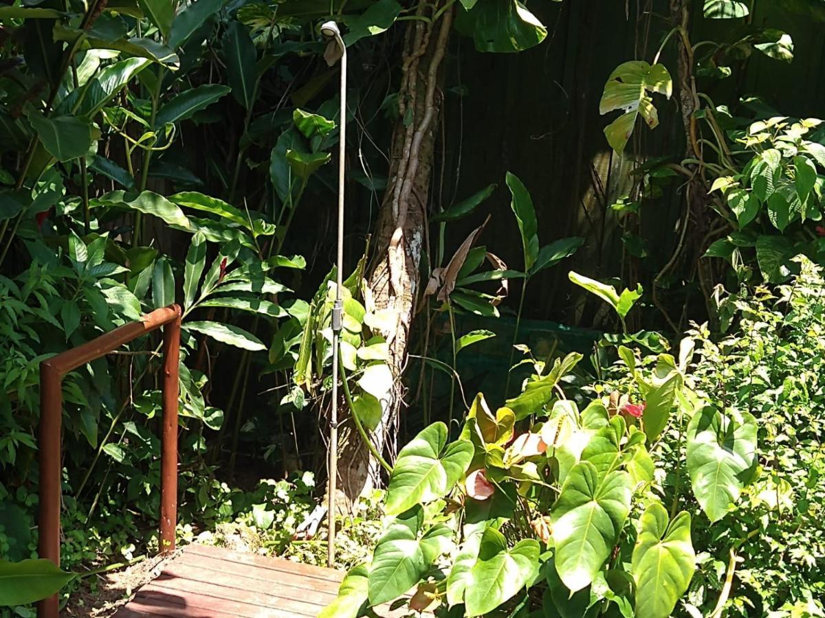 Casa No Morro - Charme Em Meio A Natureza Pertinho Da Praia 3 Dormitorios Sao Sebastiao  Esterno foto